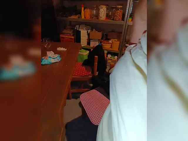 eluk webcam