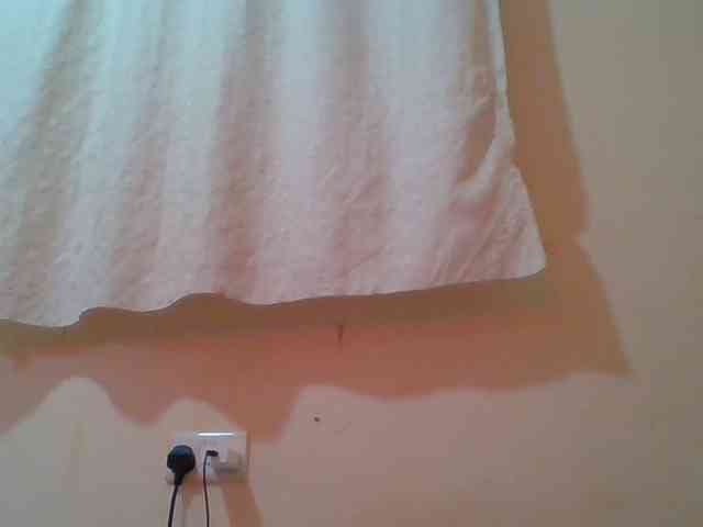 Sexyebonygal webcam