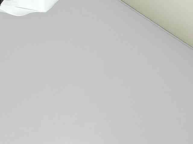ThomasAndTamara webcam