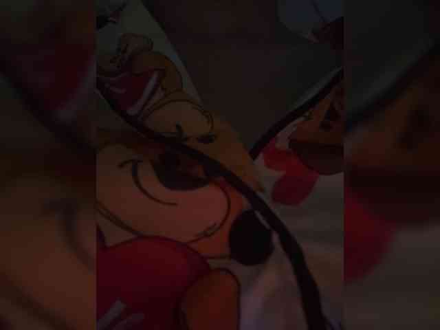 diva-tropical0808 diva-tropical0808