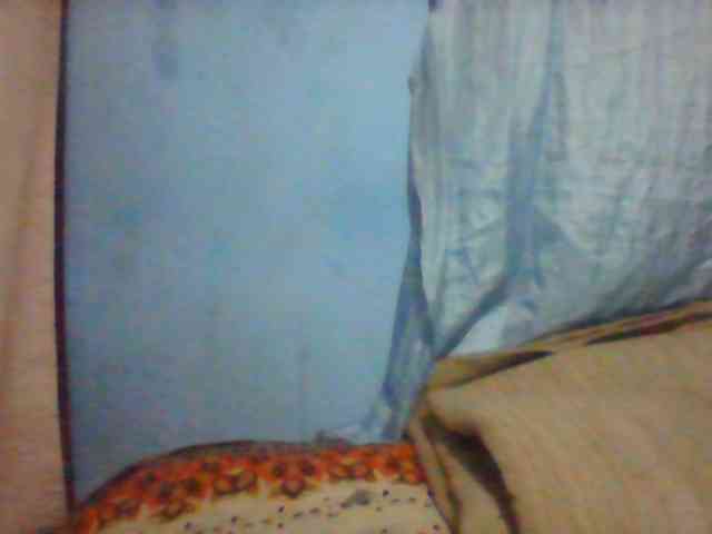 Anisexygirl Anisexygirl