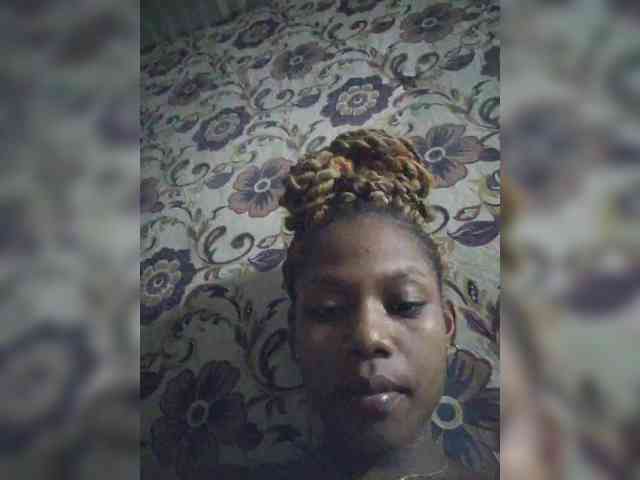 Princia200 webcam