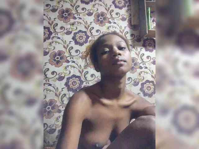 Princia200 webcam