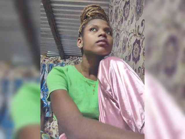 Princia200 webcam
