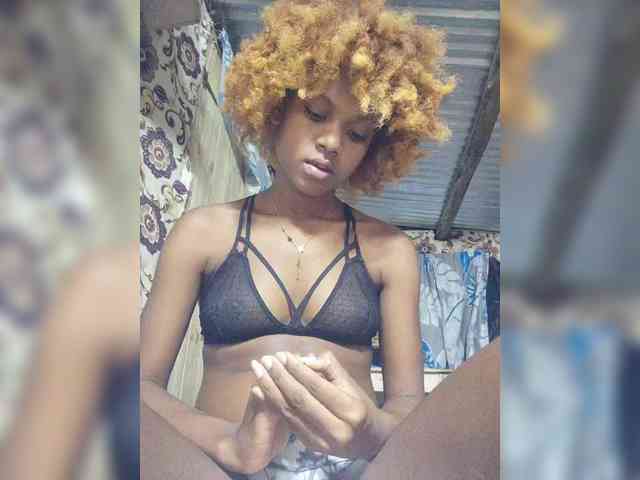 Princia200 webcam