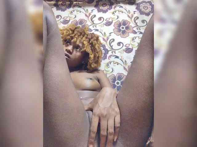Princia200 webcam
