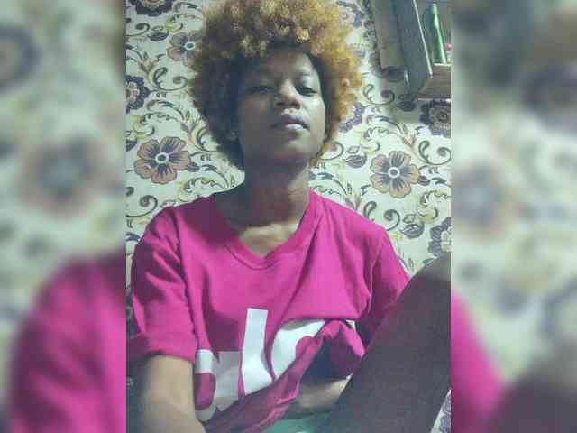 Princia200 webcam