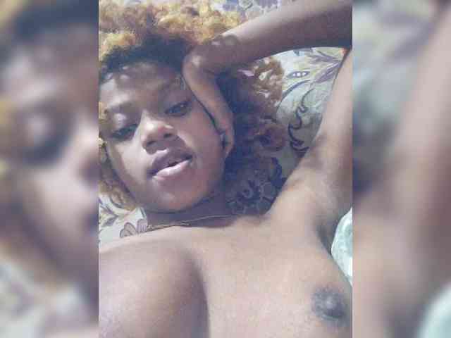 Princia200 webcam