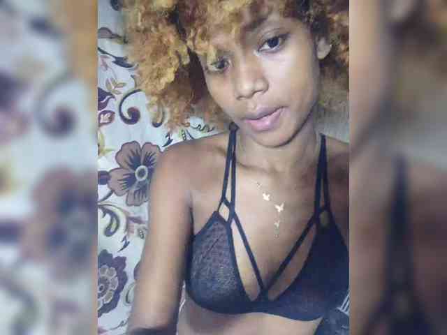 Princia200 webcam