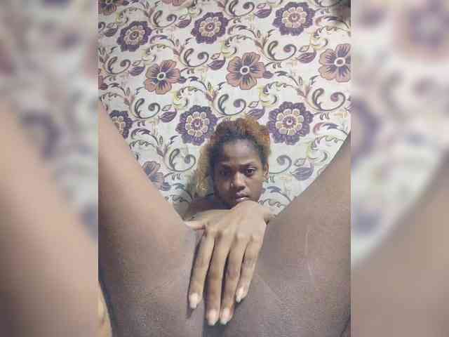 Princia200 webcam