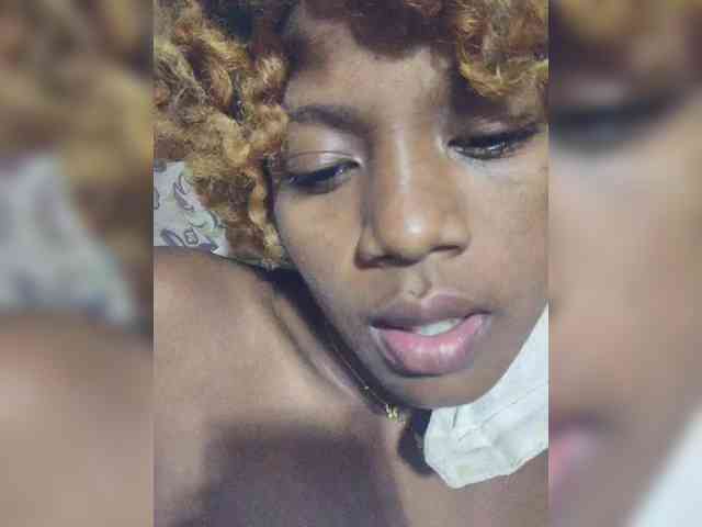 Princia200 webcam