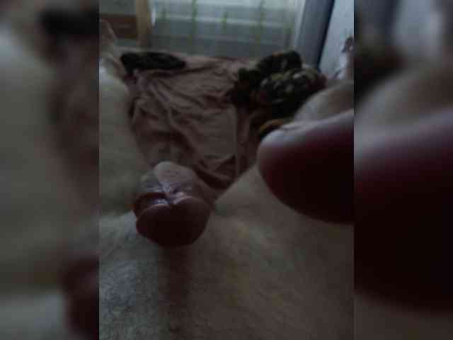 Uana021993 webcam