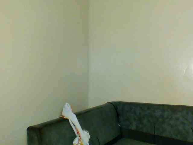 Pinkypetite Pinkypetite