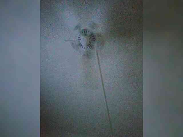 Mdibello2100 webcam