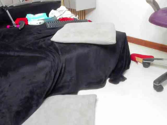 daffnelewis webcam