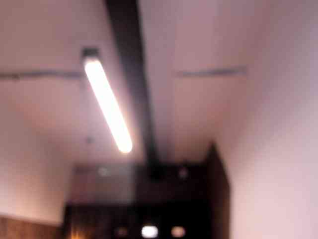 GiaFox webcam
