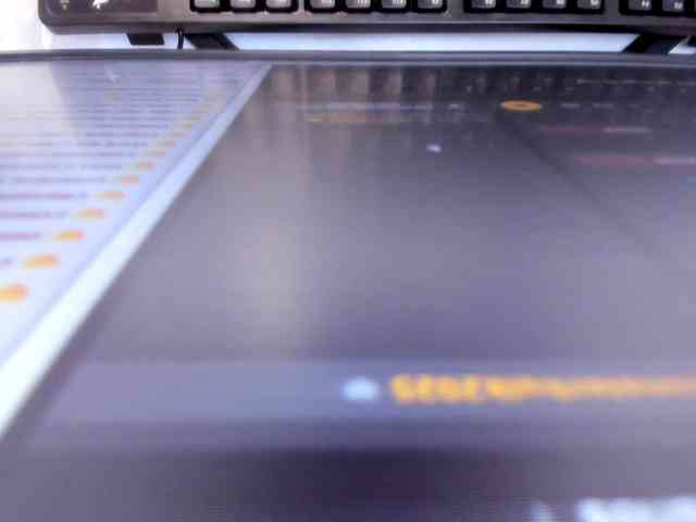 GiaFox webcam