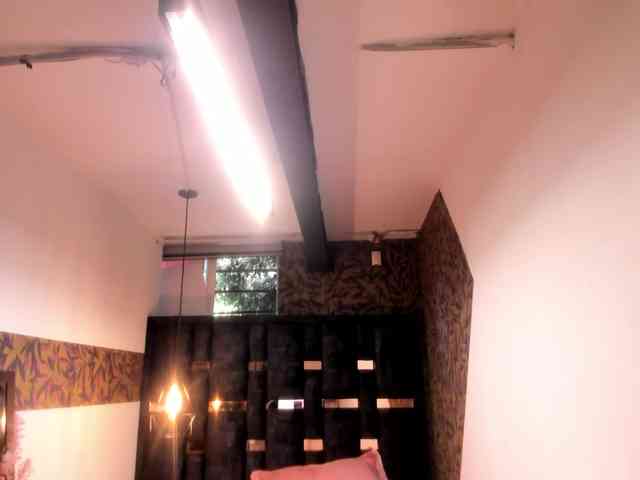 GiaFox webcam