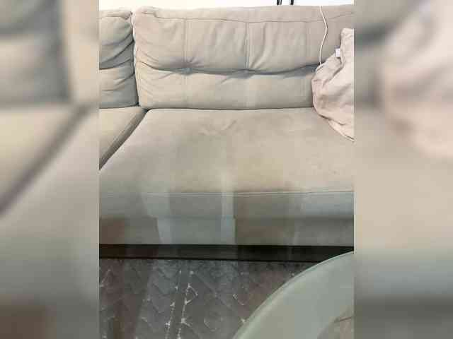NonSar webcam