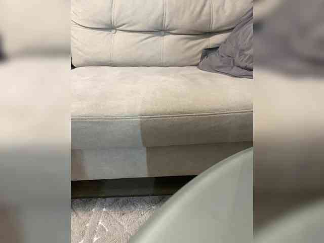 NonSar webcam
