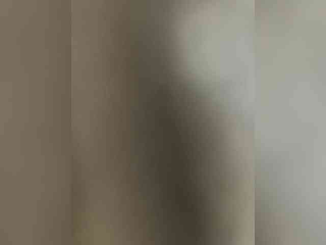 NonSar webcam