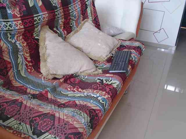 malla-shy webcam