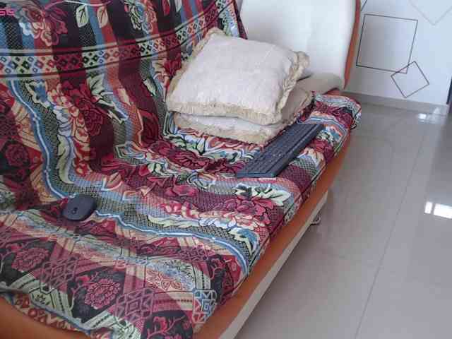 malla-shy webcam