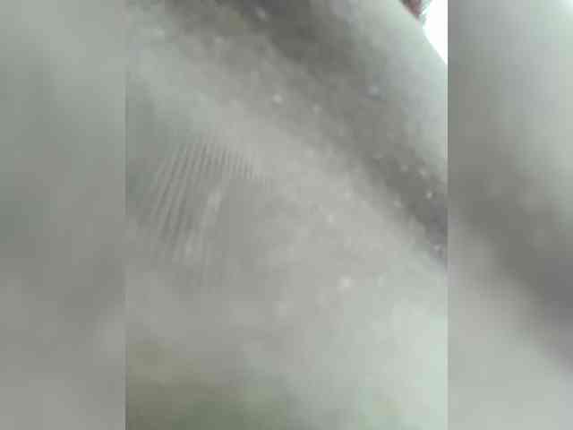 Barbarisska webcam