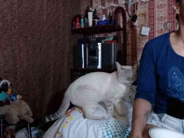 Samantha-28 webcam