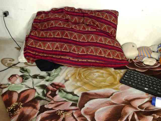 Raycatt1 webcam