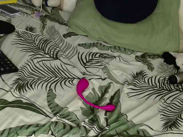 Raycatt1 webcam