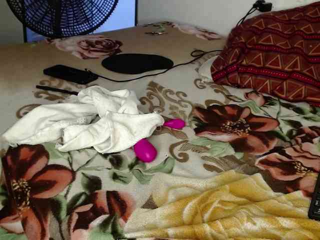 Raycatt1 webcam
