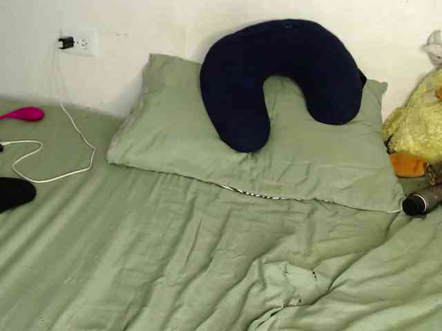 Raycatt1 webcam