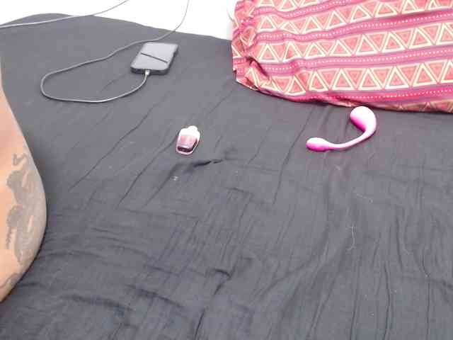 Raycatt1 webcam