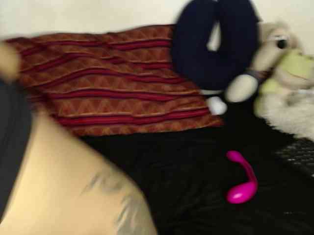 Raycatt1 webcam