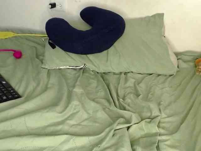 Raycatt1 webcam