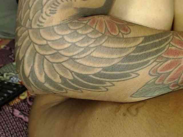 Raycatt1 webcam
