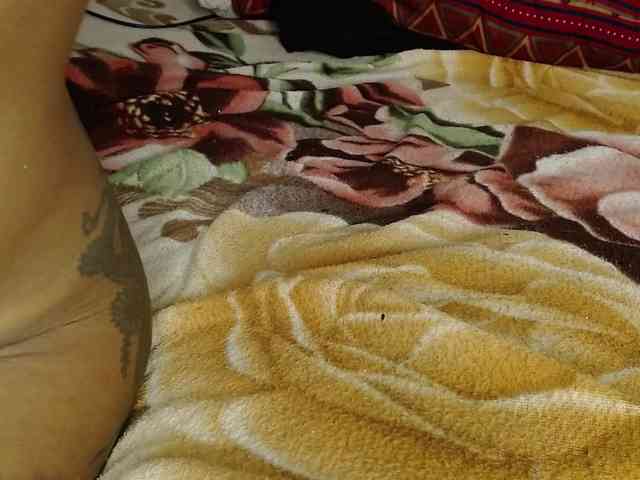 Raycatt1 webcam