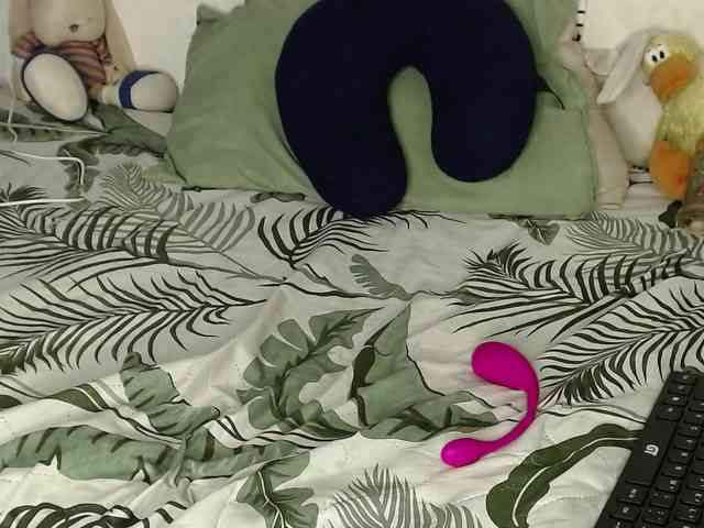 Raycatt1 webcam