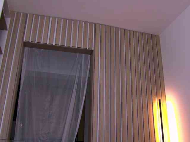 SashaFerrera SashaFerrera