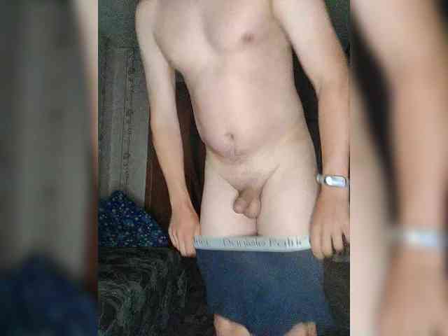 Alpapvp667