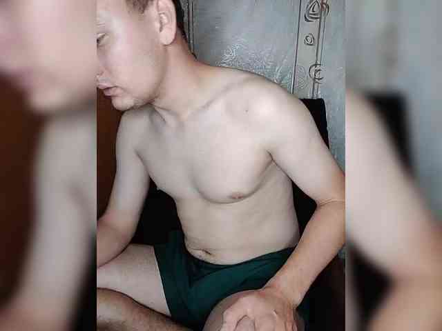 Alpapvp667