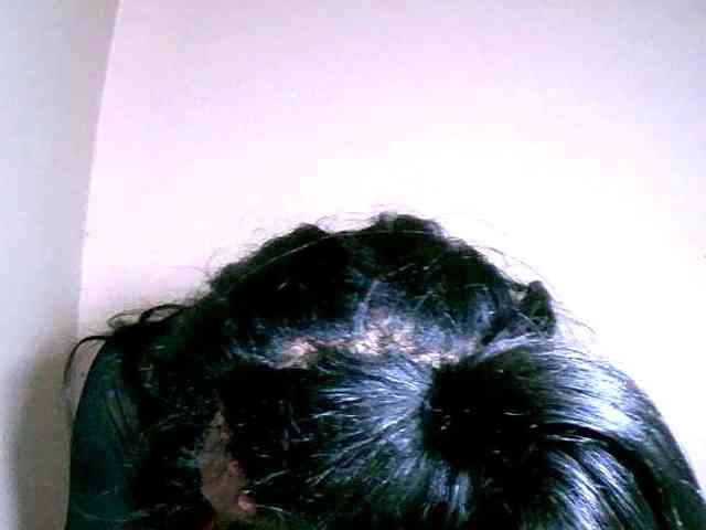 rose27 webcam