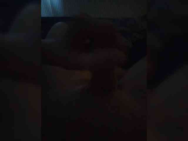 Pantero webcam