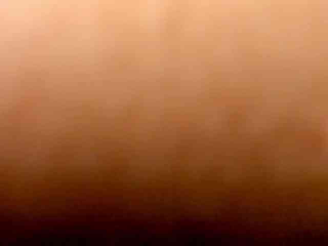 vicky-saenz vicky-saenz