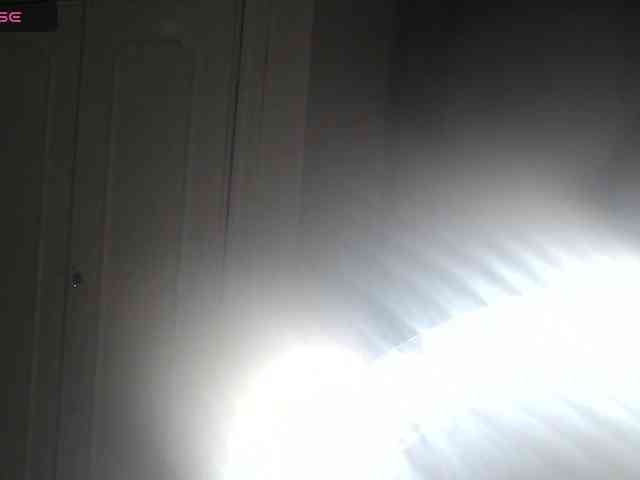 alissamorrison webcam