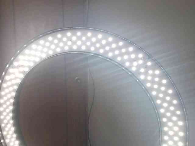 alissamorrison webcam