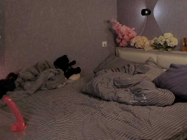 Preview of carnassial