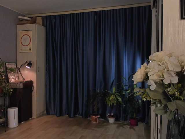  Candyce-shop chat room