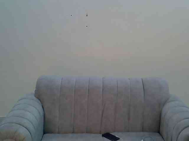 Rose-petall webcam
